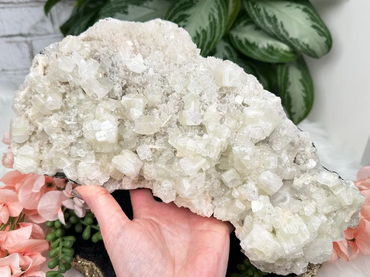 Large Green Apophyllite Stilbite