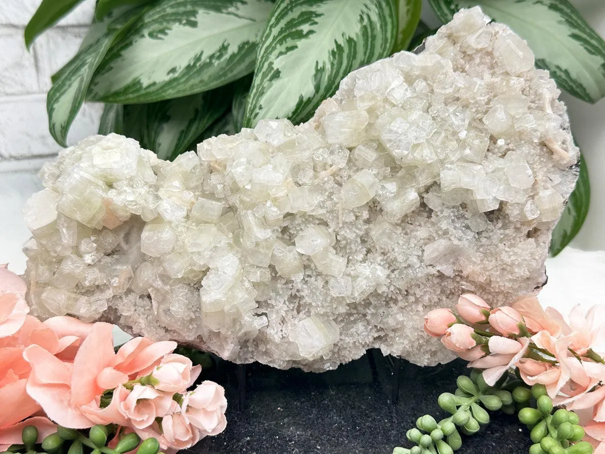 Large Green Apophyllite Stilbite
