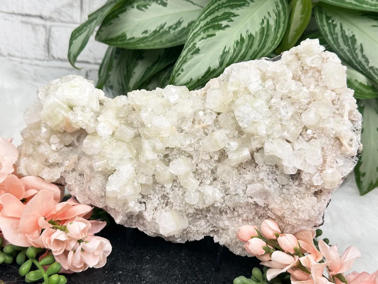 Large Green Apophyllite Stilbite