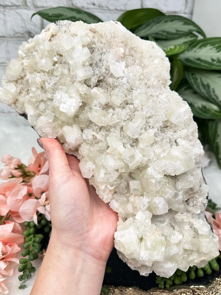 Large Green Apophyllite Stilbite