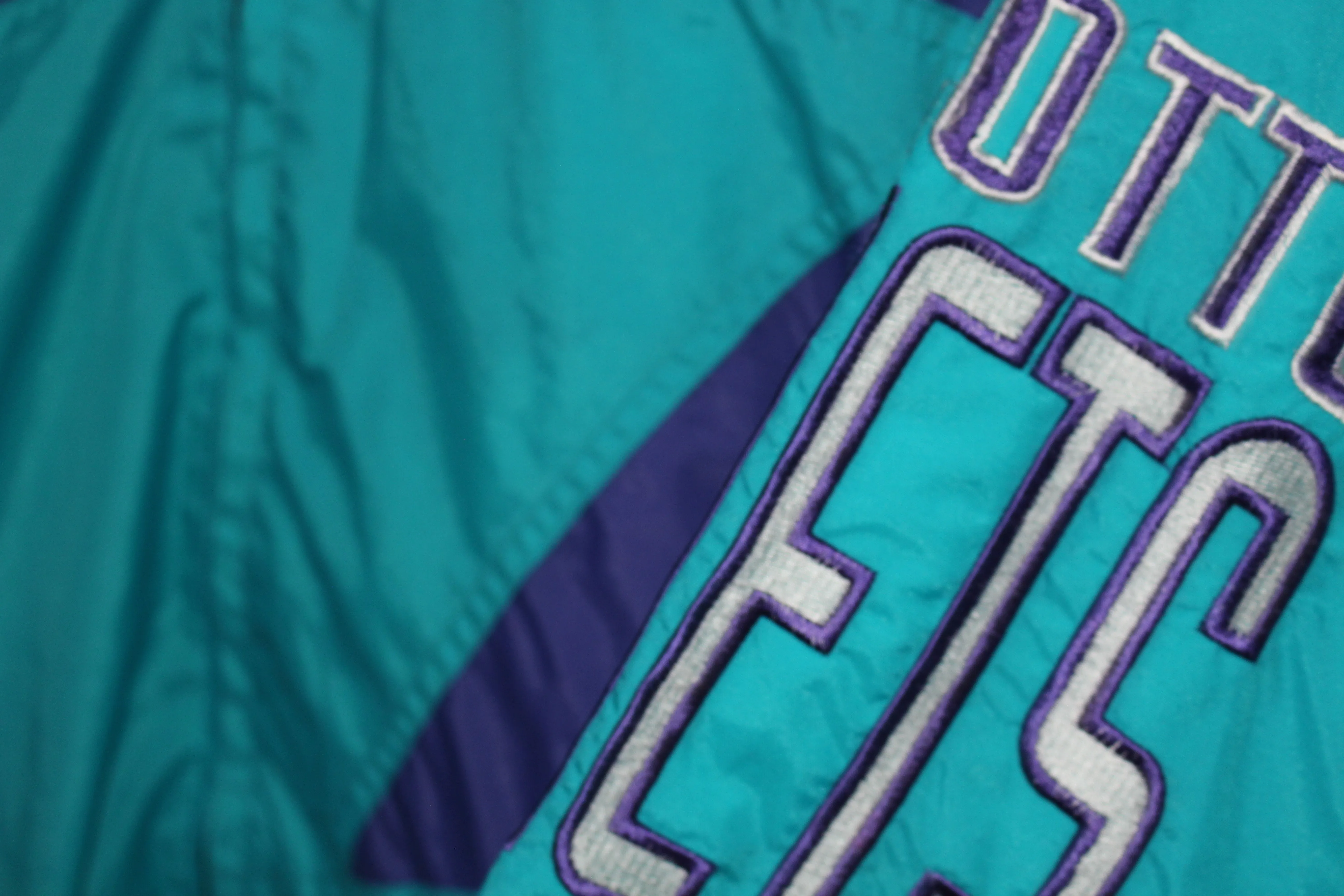 Rare Charlotte Hornets Logo Athletic Sharktooth (L)