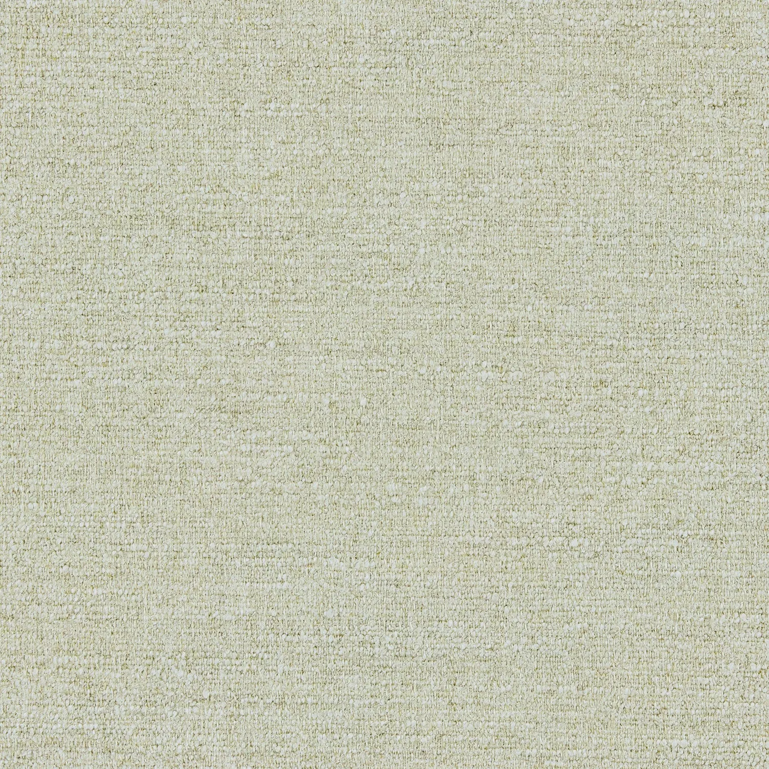 Tanaro Ivory