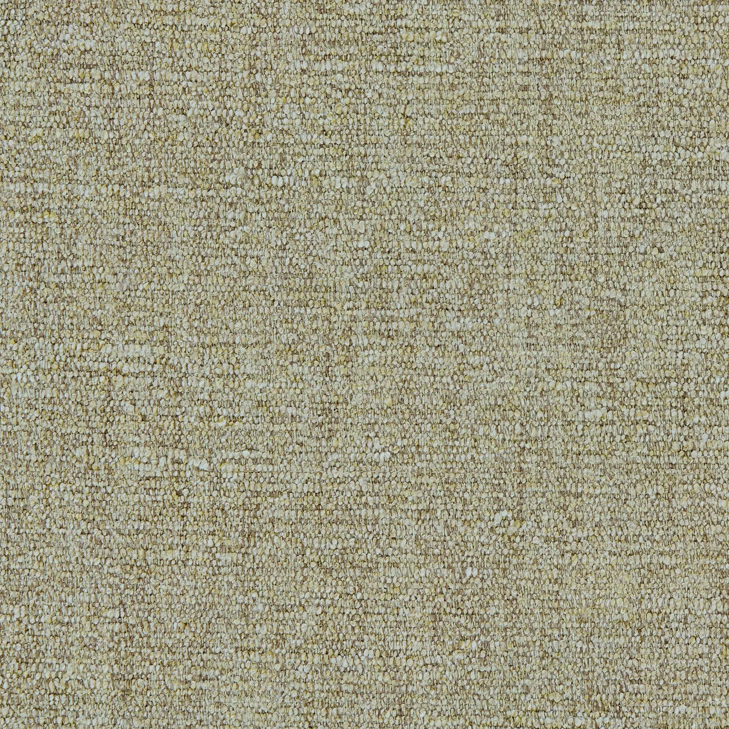 Tanaro Latte